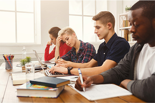 Educational contrasts between the United States and the Netherlands